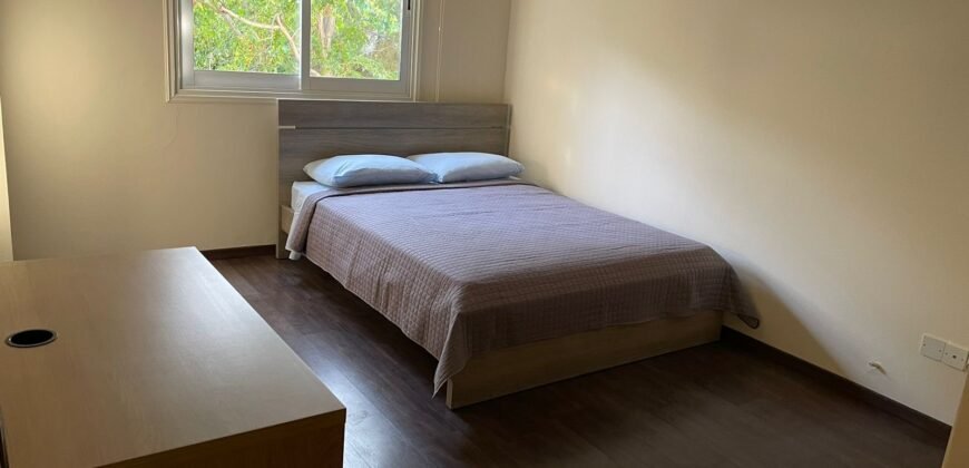 2 bedrooms deluxe flat fully furnished. Once a week cleaning services. Include all the bills. Price €850 monthly.