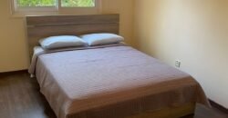 2 bedrooms deluxe flat fully furnished. Once a week cleaning services. Include all the bills. Price €850 monthly.