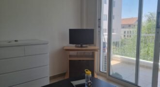 1 bedroom apartment to rent