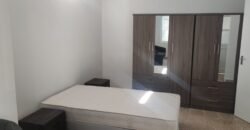 Oikoia me Saloni, Kouzina, Trapezaria – Fully Renovated House -walking distance to UNIC