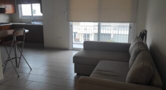 Two Bedroom Apartment for Rent