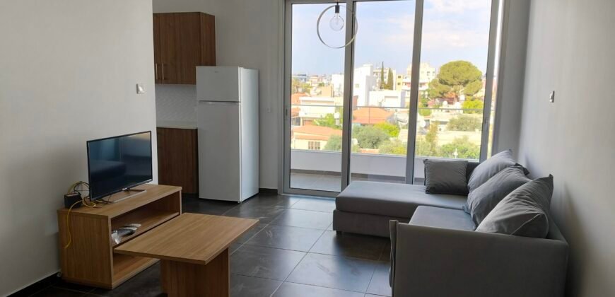 Fully furnished 1 bedroom apartment for rent 10 minutes walking distance from Unic University