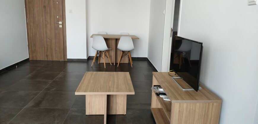 Fully furnished 1 bedroom apartment for rent 10 minutes walking distance from Unic University