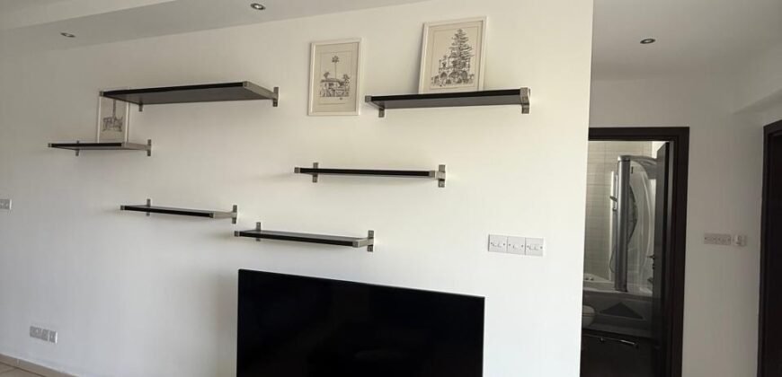 Beautiful modern 2 Bedroom apartment fully furnished
