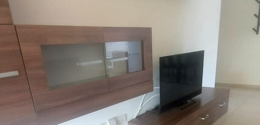 1 bedroom apartment to rent