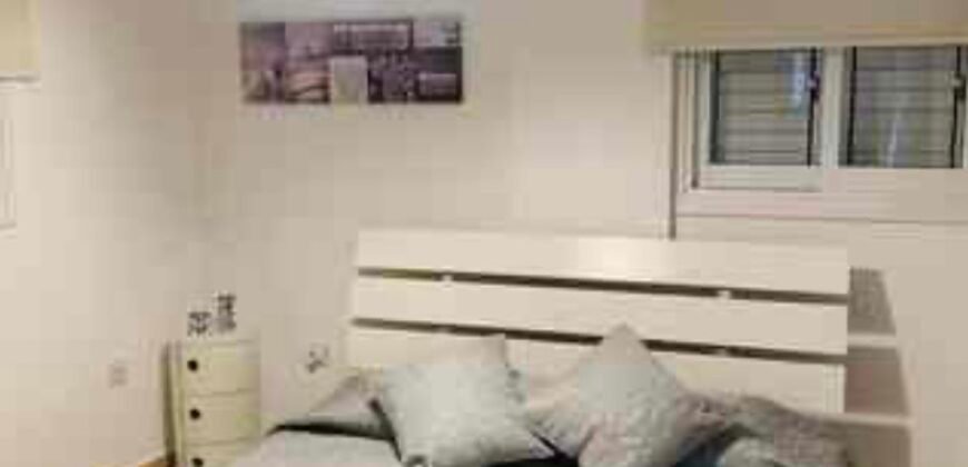 1-Bedroom Apartment