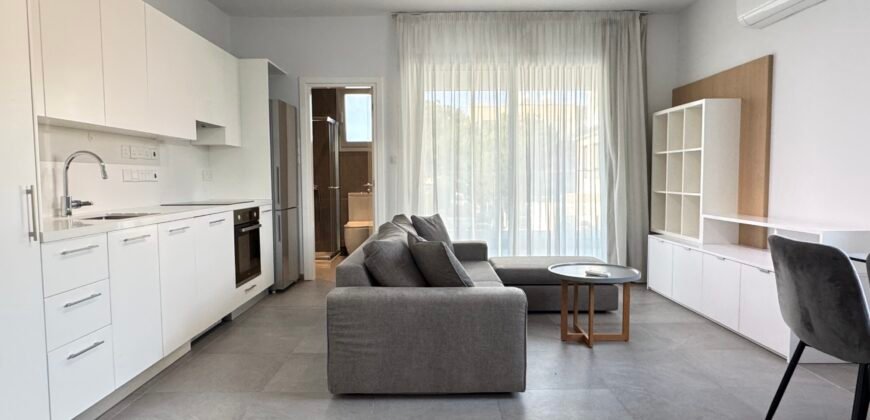 For rent one bedroom modern apartment