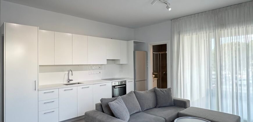 For rent one bedroom modern apartment