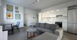 For rent one bedroom modern apartment