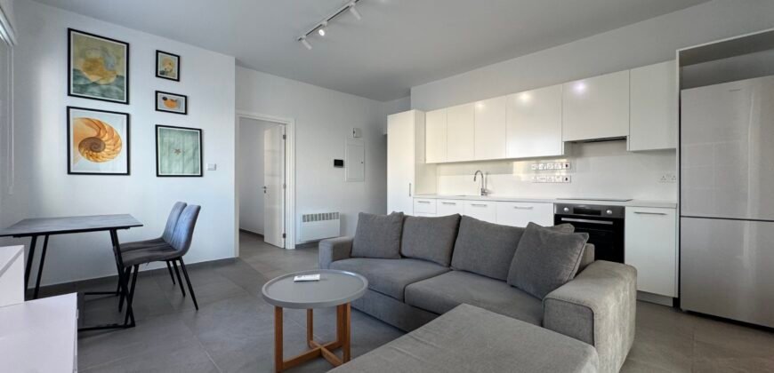 For rent one bedroom modern apartment