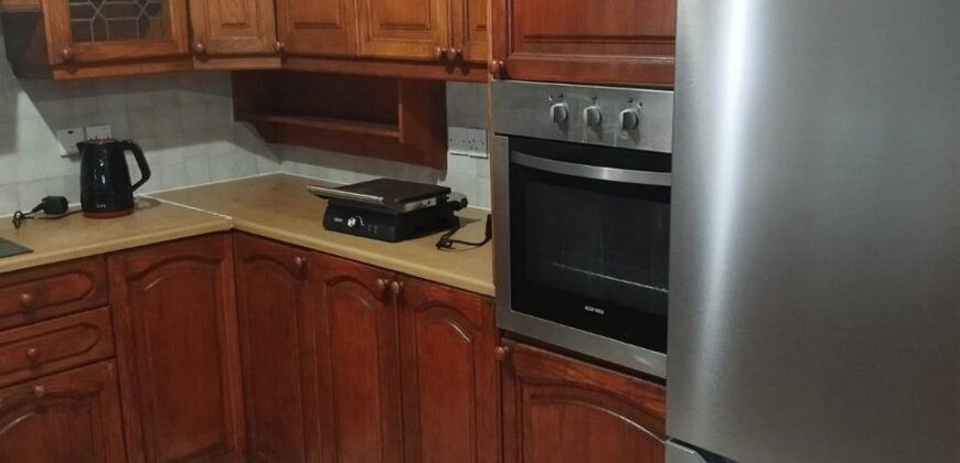 Fully Renovated Elevated Ground Floor Appt: 3 Bedrooms – walking distance to UNIC – with 500Mbps Internet + Cyta TV
