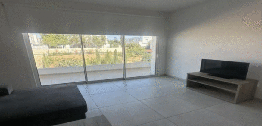 One Bedroom Apartment