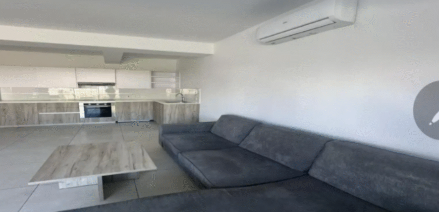 One Bedroom Apartment