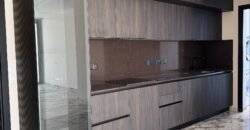 2 bedroom brand new luxury apartment (USA Embassy)