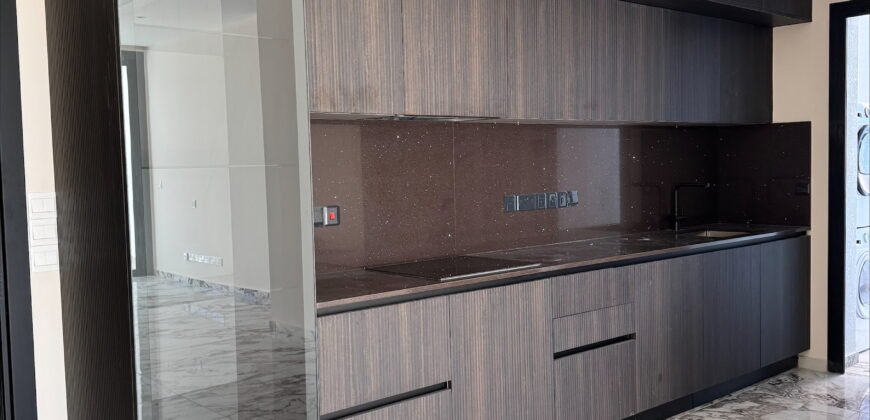 2 bedroom brand new luxury apartment (USA Embassy)