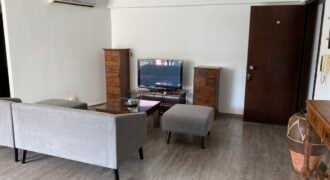 flat in Engomi fully furnished