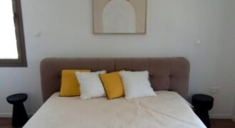 Three Bedroom Apartment