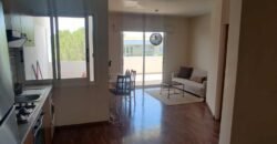 1 bedroom flat in Engomi, near UNIC