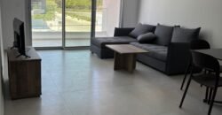 1 bedroom flat fully equipped in Enkomi available now