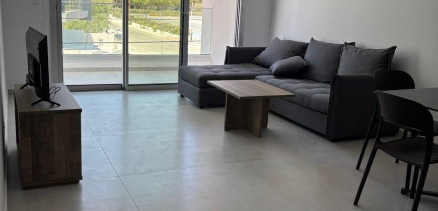 1 bedroom flat fully equipped in Enkomi available now