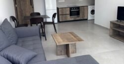 1 bedroom flat fully equipped in Enkomi available now