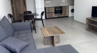 1 bedroom flat fully equipped in Enkomi available now