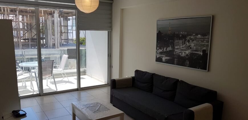 Luxury 1-Bedroom Apartment in a Quiet Area and Close to University.