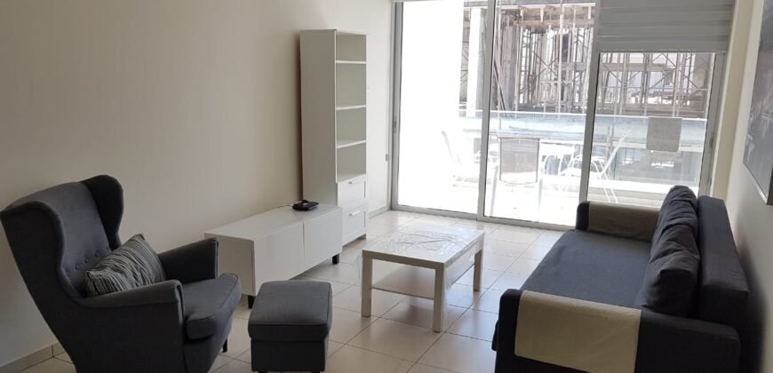 Luxury 1-Bedroom Apartment in a Quiet Area and Close to University.