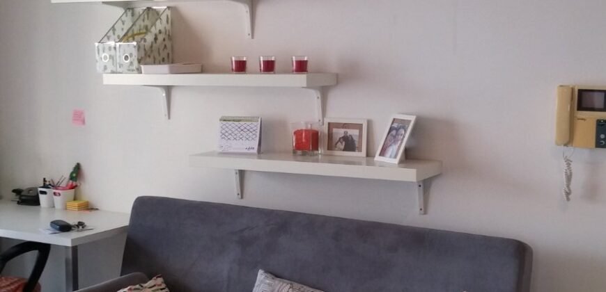 1 bedroom apartment to rent