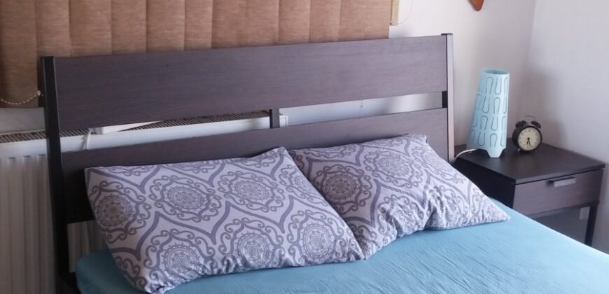 1 bedroom apartment to rent
