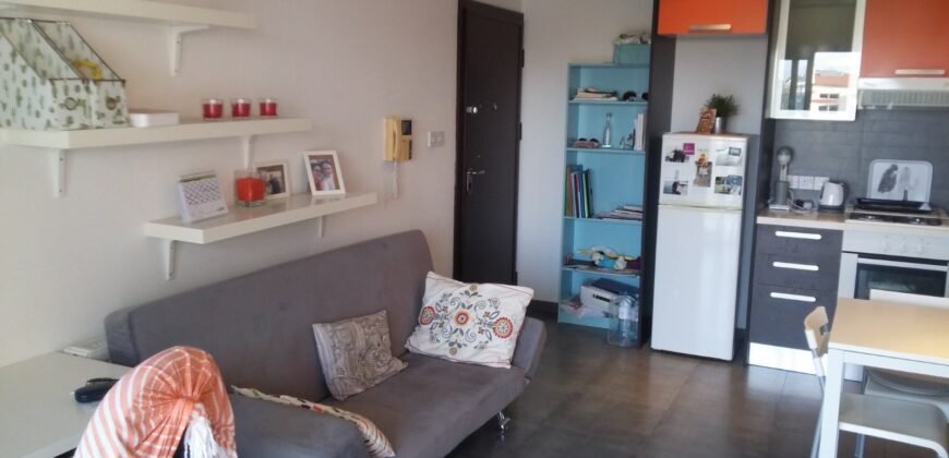 1 bedroom apartment to rent