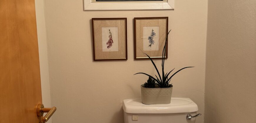 A spacious, recently renovated, one-bedroom flat in walking distance from the University of Nicosia