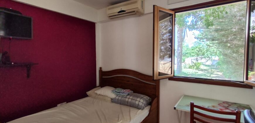 1 bedroom apartment to rent