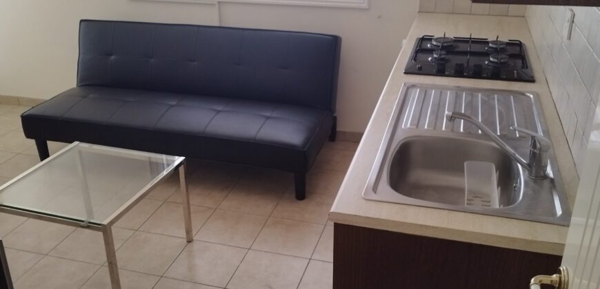 One Bedroom Apartment